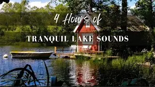 Tranquil Lake Sounds for Sleep | Summer Nature Sounds | Calming Nature Soundscapes
