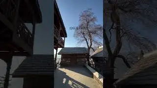 Aesthetics of Naggar Castle 🏰 #naggarcastle #manali #explore #mountainpeace #foryou #himachal