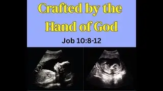Sanctity of Life Sunday 2026: 