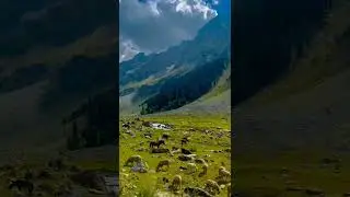 nature is one of the most beautiful ❤️