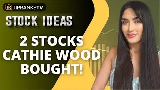 Кэти Вуд из Ark Invest купила две акции! Неспокойные времена = сильнейшие падения цен = большие возможности
