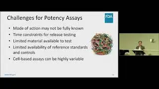 Potential Challenges Throughout the Development Process