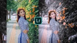 Lightroom Black and Blue Effect Photo Editing Tutorial in Mobile | PRESET download free | AMIDOEDITZ