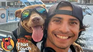 Once Locked in a Cage, This Dog Is Now a Rock Star