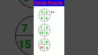 Circle Puzzle