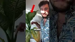Worlds most DANGEROUS plant!🌱