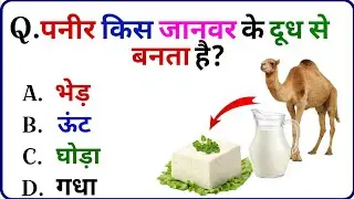 GK Questions || Question and Answer || GK Quiz || GK Challenge || gk in hindi || current affairs