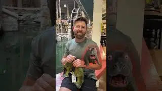 Which Animal Would You Least Want To Run Into??