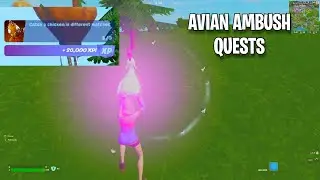 Avian Ambush Quests!