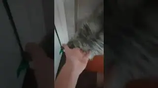now gibiji loves my hand?