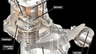 How the evap And Fuel System Works Car