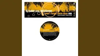 Won't Forget These Days (Voodoo & Serano Summer RMX)
