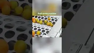 🚀 Automatic Fruit Sorting & Grading Machine 🍏🍊 | Boost Efficiency & Quality! #fruitprocessing
