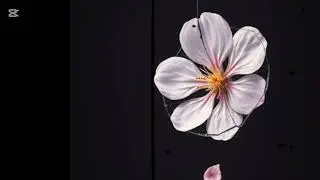 Sakura / 桜 &ndash; Obsidian Black (濃黒) | jTrap Noise