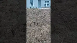 brand new house, dead sod