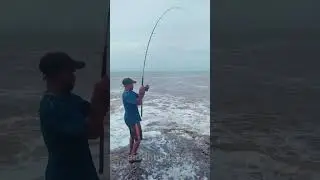 Fishing 🎣🎣🐟🐟🐟...               kokan | ratnagiri | beach fishing |kokandiaries
