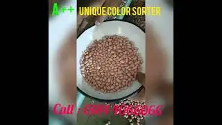 PEANUT SORTING | Color sorter machine peanut | Call at 09896327066 Unique carter Group