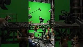 🎬🎥NG Moments & Behind the Scenes of A Tuxedo Cat Secret Agent Saves the World Part 2 #BehindTheScene