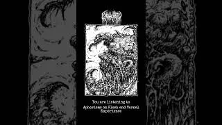 Exhaurity - Aphorisms on Flesh and Carnal Experience.
