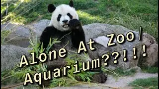 Alone At The Madrid Zoo!!!