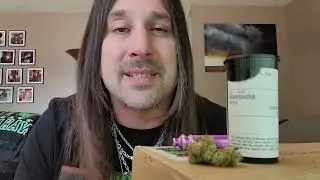 Dan's 420 Chronicles - Kombucha / Weed Review 8/26/22