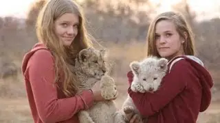 Baby Lions and Leaving Africa