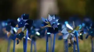 Here's why pinwheels are filling gardens at the VWCC arboretum