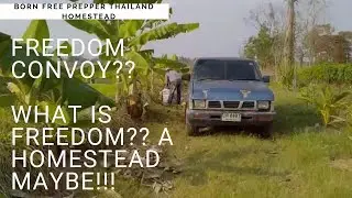 Freedom Convoy?? What is Freedom?? Making An Homestead Maybe!!