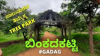 SAALUMARADA TIMMAKKA TREE PARK 🏞️ l BINKADAKATTI ##gadag #video #savetrees #tree #viral