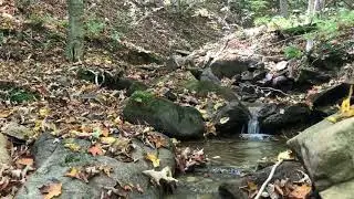 SW PA Mountain Stream