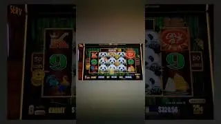 💥BIG PANDA HIT💥Dragon Link🐉High Limit Panda Magic 🐼🎩 Slot Machine 🎰 Spinning & Winning 🚂💵💵💵 #SHORTS