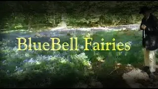 Fantasy Story: BlueBell Fairies (3D Sound/Audio)