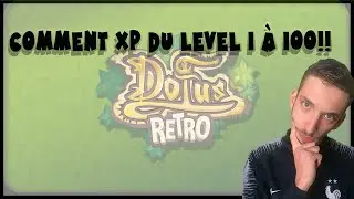 DOFUS RETRO : COMMENT MONTER/XP SA TEAM  FACILEMENT !?!?