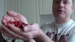 How to make rosehip jelly