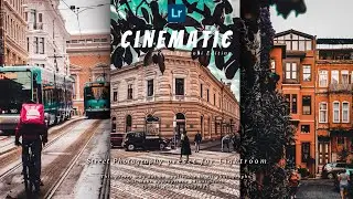 Cinematic Preset For Lightroom | Edit your photos to have a cinematic look | Preset Link In Desc