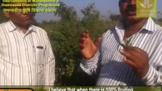 Do you want to improve the productivity of #orange plantations even in conditions of water scarcity?
