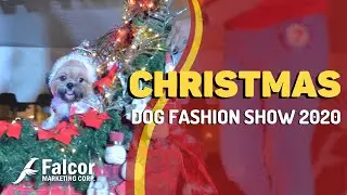 Christmas Dog Fashion Show 2020 | Falcor Marketing