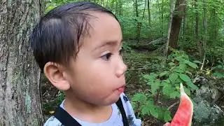 The Howler | Epic Jungle Adventure | Deaglan Adventures
