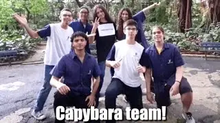 Kapybara Team - Hunting Antiprotons (BL4S 2022)