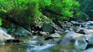 Water Sounds Perfect for Sleeping - Gentle and Relaxing