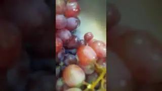 Fresh GRAPES #shortfeeds #trendingshorts #youtubeshorts #shorts