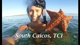 South Caicos Study Abroad Trip