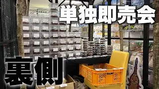 【イベント後日談】わたくわ即売会の裏側と感想 【Beetleon東京店イベント】
