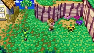 [Wii] Animal Crossing: City Folk (Day 32) 