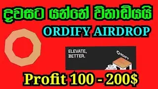 ordify new airdrop #bigprofits #sinhala #2024 #airdrop #slcrypto #ordify #testnet_airdrop #free