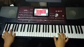 ✅CASIO HT3000 - SAMPLES PROFESIONALES AEMINPU - KORG PA700, PA1000