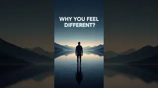 Why Smart People Feel Disconnected