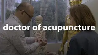 Doctor of Acupuncture and Traditional Medicine, Dongguk University Los Angeles