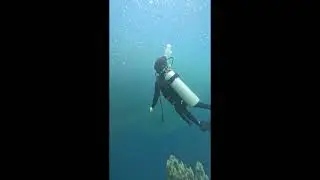2025.07.13 01 SCUBA DSD GOPRO12 DIVESTORY MOALBOAL