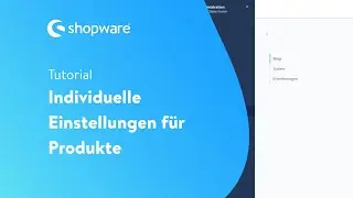 Individuelle Einstellungen f&uuml;r Produkte (Shopware 6 Tutorial)